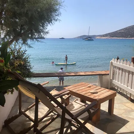 Asterias *